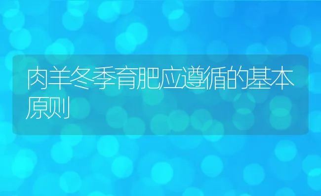 肉羊冬季育肥应遵循的基本原则 | 动物养殖学堂