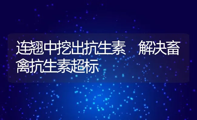 连翘中挖出抗生素 解决畜禽抗生素超标 | 动物养殖学堂