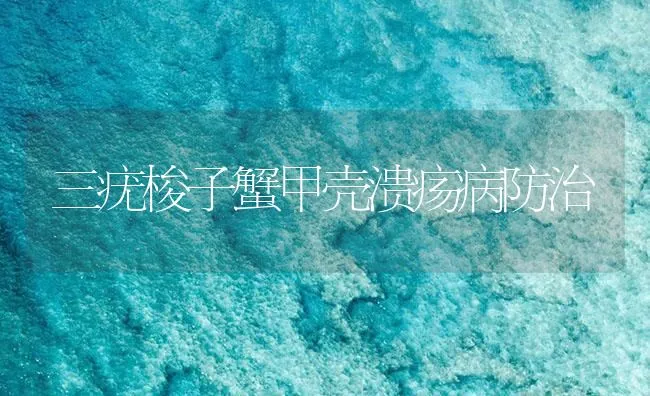 三疣梭子蟹甲壳溃疡病防治 | 海水养殖技术