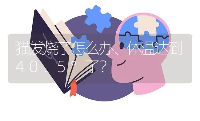 猫发烧了怎么办、体温达到40.5°了？ | 动物养殖问答