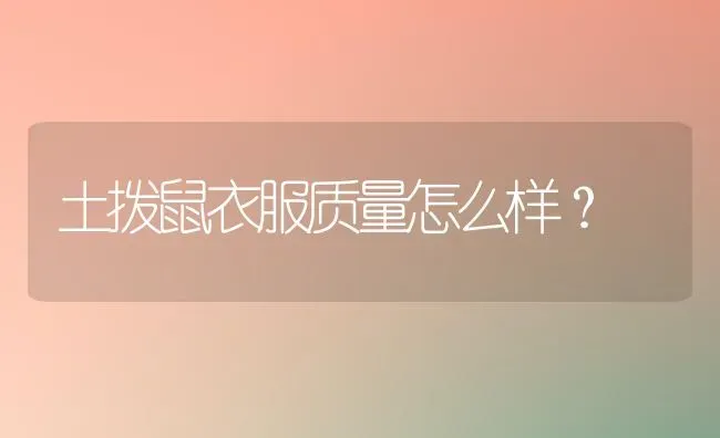 土拨鼠衣服质量怎么样？ | 动物养殖问答