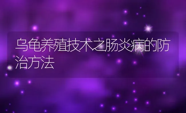 乌龟养殖技术之肠炎病的防治方法 | 动物养殖教程