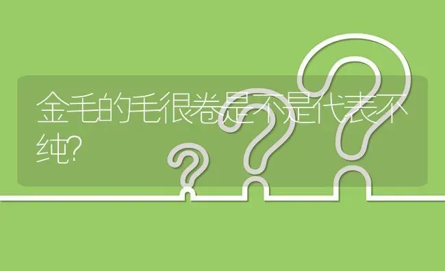 金毛的毛很卷是不是代表不纯？ | 动物养殖问答