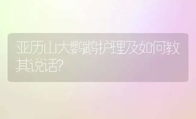 亚历山大鹦鹉护理及如何教其说话？ | 动物养殖问答