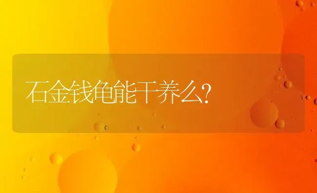 石金钱龟能干养么？ | 动物养殖问答