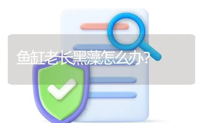 鱼缸老长黑藻怎么办？ | 鱼类宠物饲养