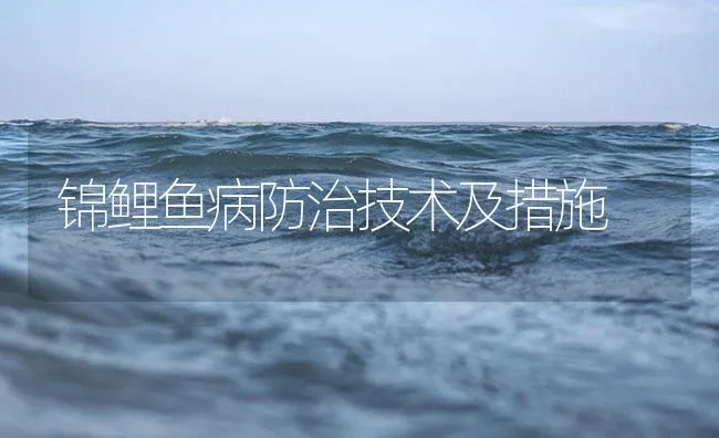 锦鲤鱼病防治技术及措施 | 海水养殖技术