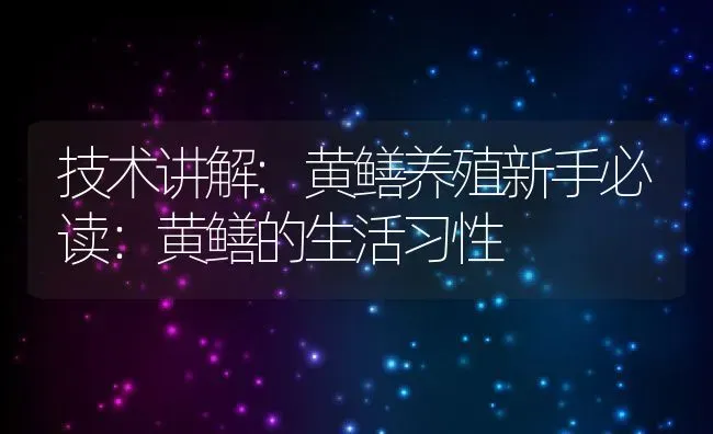 技术讲解:黄鳝养殖新手必读：黄鳝的生活习性 | 动物养殖百科