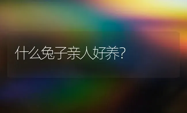 什么兔子亲人好养？ | 动物养殖问答