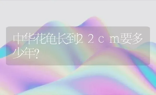 中华花龟长到22cm要多少年？ | 动物养殖问答