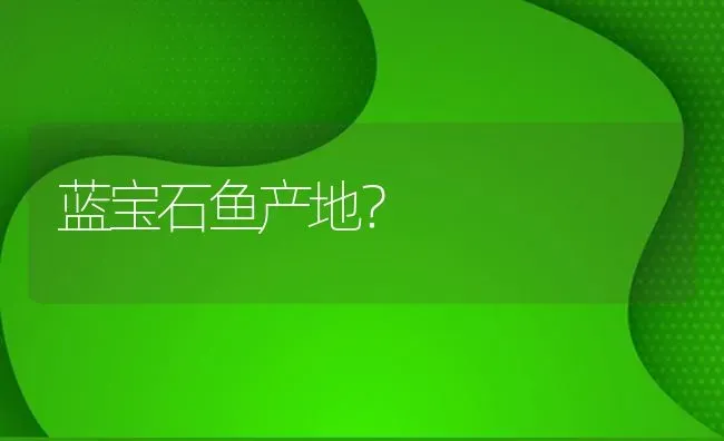 蓝宝石鱼产地？ | 鱼类宠物饲养