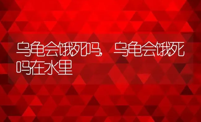 乌龟会饿死吗,乌龟会饿死吗在水里 | 宠物百科知识