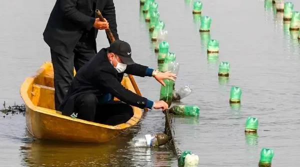 河蚌一年可以长到多少斤