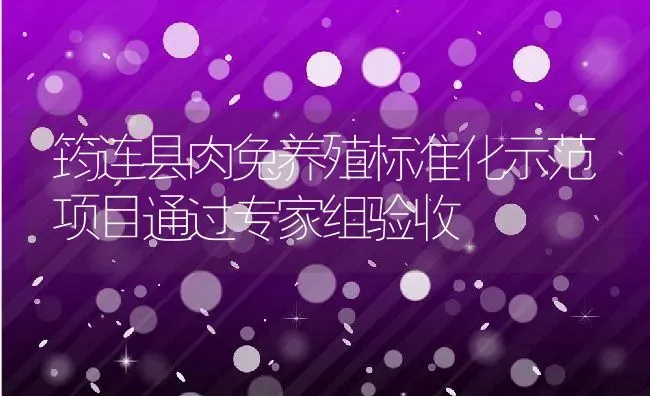 筠连县肉兔养殖标准化示范项目通过专家组验收 | 动物养殖教程