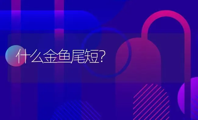 什么金鱼尾短？ | 鱼类宠物饲养