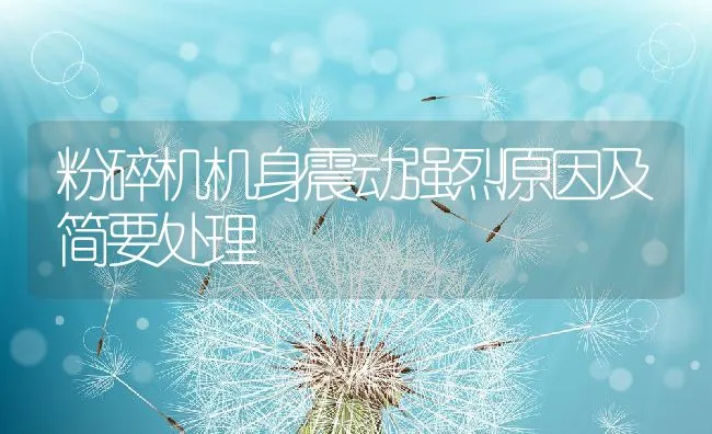 粉碎机机身震动强烈原因及简要处理 | 水产养殖知识