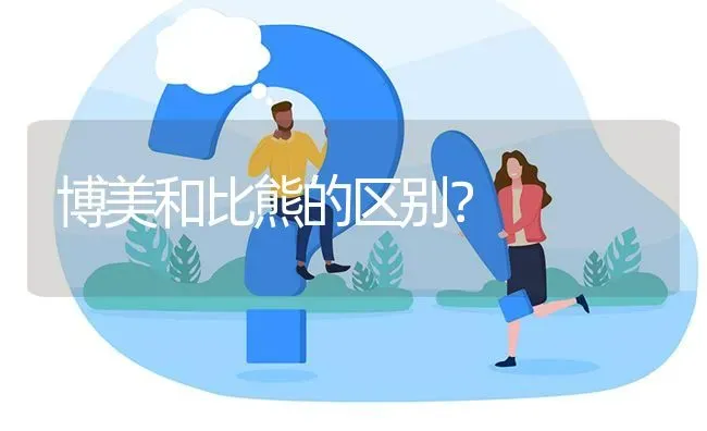 博美和比熊的区别？ | 动物养殖问答