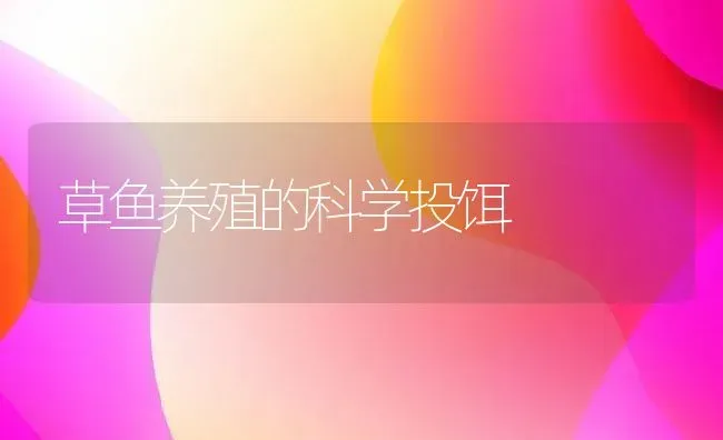 草鱼养殖的科学投饵 | 动物养殖教程