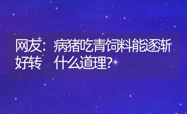 网友：病猪吃青饲料能逐渐好转 什么道理？ | 动物养殖学堂