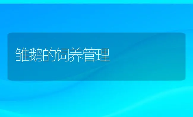 草坪红丝病防治 | 水产养殖知识