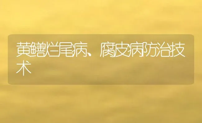 黄鳝烂尾病、腐皮病防治技术 | 水产养殖知识