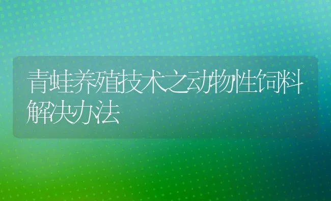 青蛙养殖技术之动物性饲料解决办法 | 动物养殖教程