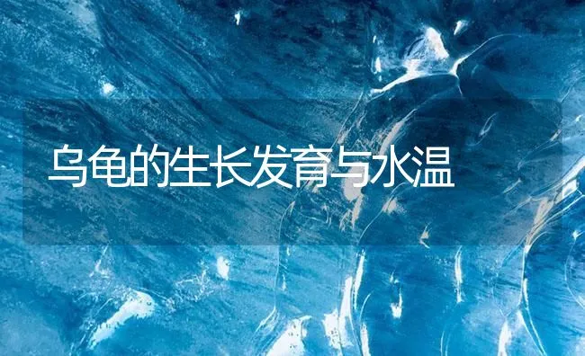 乌龟的生长发育与水温 | 海水养殖技术