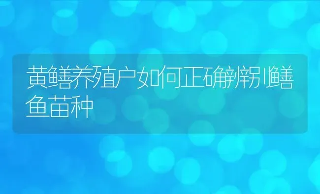 黄鳝养殖户如何正确辨别鳝鱼苗种 | 动物养殖教程