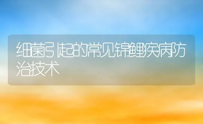 细菌引起的常见锦鲤疾病防治技术 | 动物养殖教程