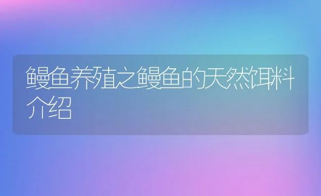 鳗鱼养殖之鳗鱼的天然饵料介绍 | 动物养殖饲料