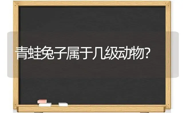 青蛙兔子属于几级动物？ | 动物养殖问答