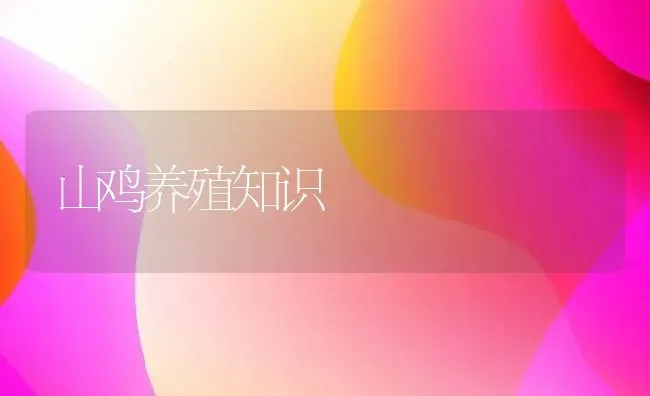 山鸡养殖知识 | 动物养殖教程