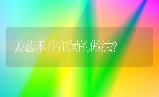 姜葱禾花雀煲的做法？ | 动物养殖问答