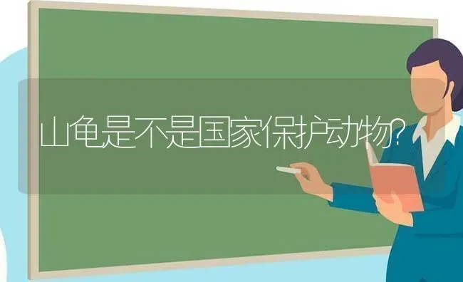 山龟是不是国家保护动物？ | 动物养殖问答