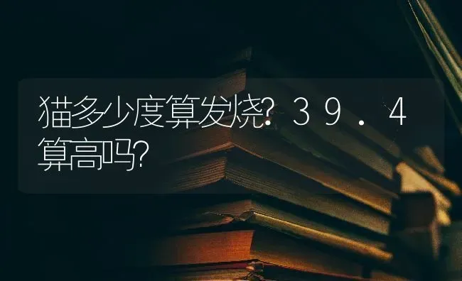 猫多少度算发烧?39.4算高吗？ | 动物养殖问答