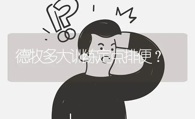 德牧多大训练定点排便？ | 动物养殖问答