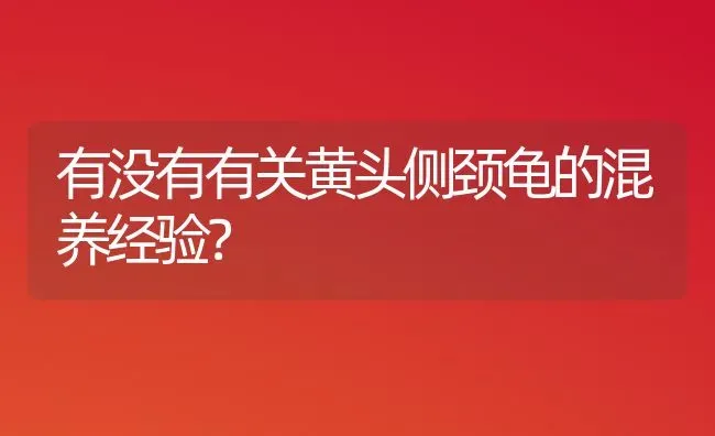 有没有有关黄头侧颈龟的混养经验？ | 动物养殖问答