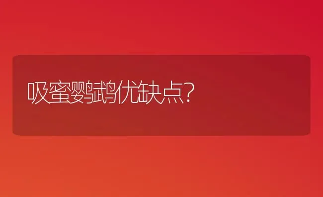 吸蜜鹦鹉优缺点？ | 动物养殖问答