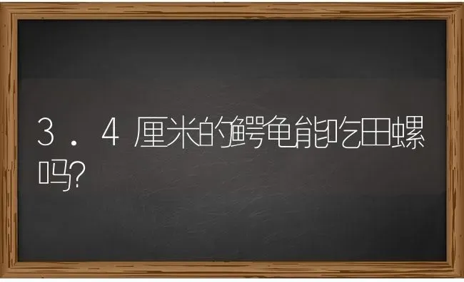 3.4厘米的鳄龟能吃田螺吗？ | 动物养殖问答