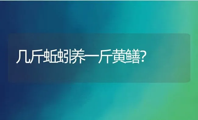 几斤蚯蚓养一斤黄鳝？ | 动物养殖百科