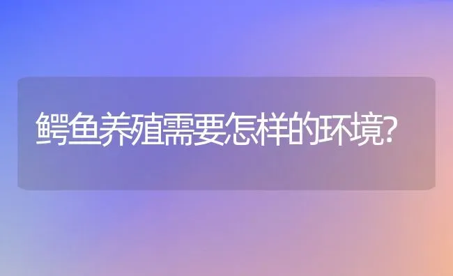 鳄鱼养殖需要怎样的环境？ | 动物养殖百科