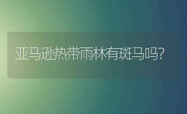 亚马逊热带雨林有斑马吗？ | 动物养殖问答