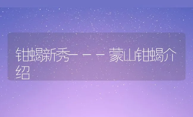 钳蝎新秀---蒙山钳蝎介绍 | 动物养殖学堂