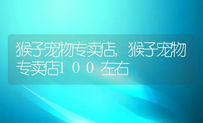 猴子宠物专卖店,猴子宠物专卖店100左右 | 宠物百科知识