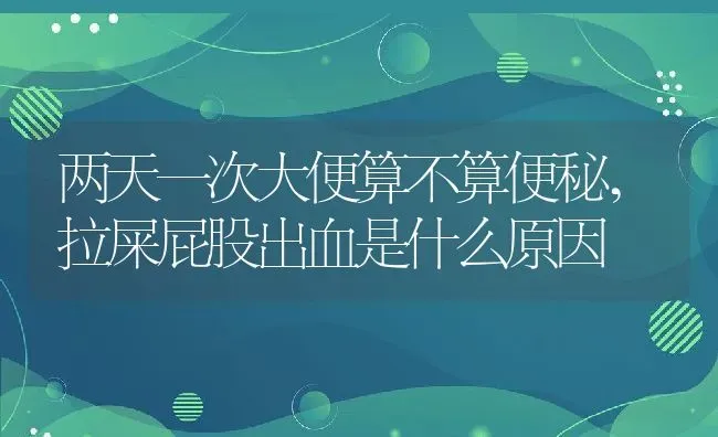 两天一次大便算不算便秘,拉屎屁股出血是什么原因 | 宠物百科知识