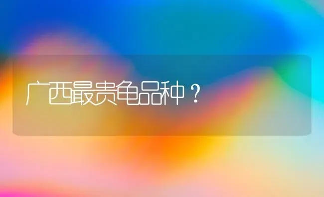 广西最贵龟品种？ | 动物养殖问答