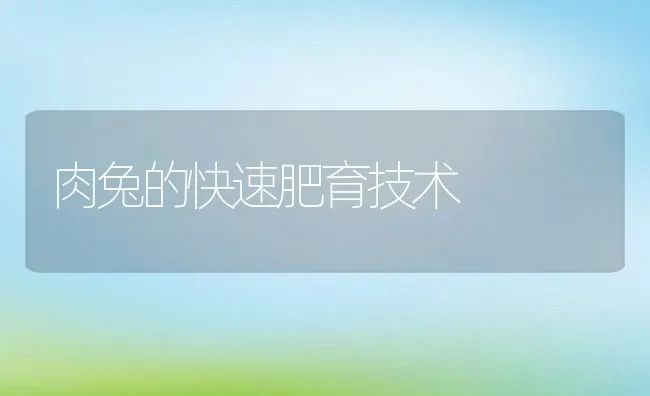 肉兔的快速肥育技术 | 水产养殖知识