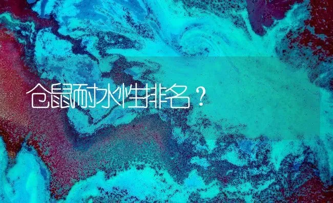 黄缘龟寓意？ | 动物养殖问答