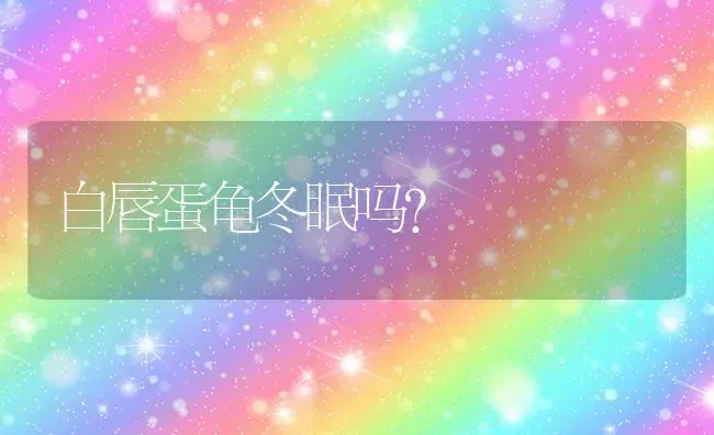 白唇蛋龟冬眠吗？ | 动物养殖问答