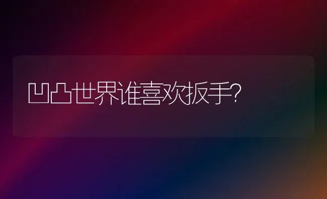 凹凸世界谁喜欢扳手？ | 动物养殖问答